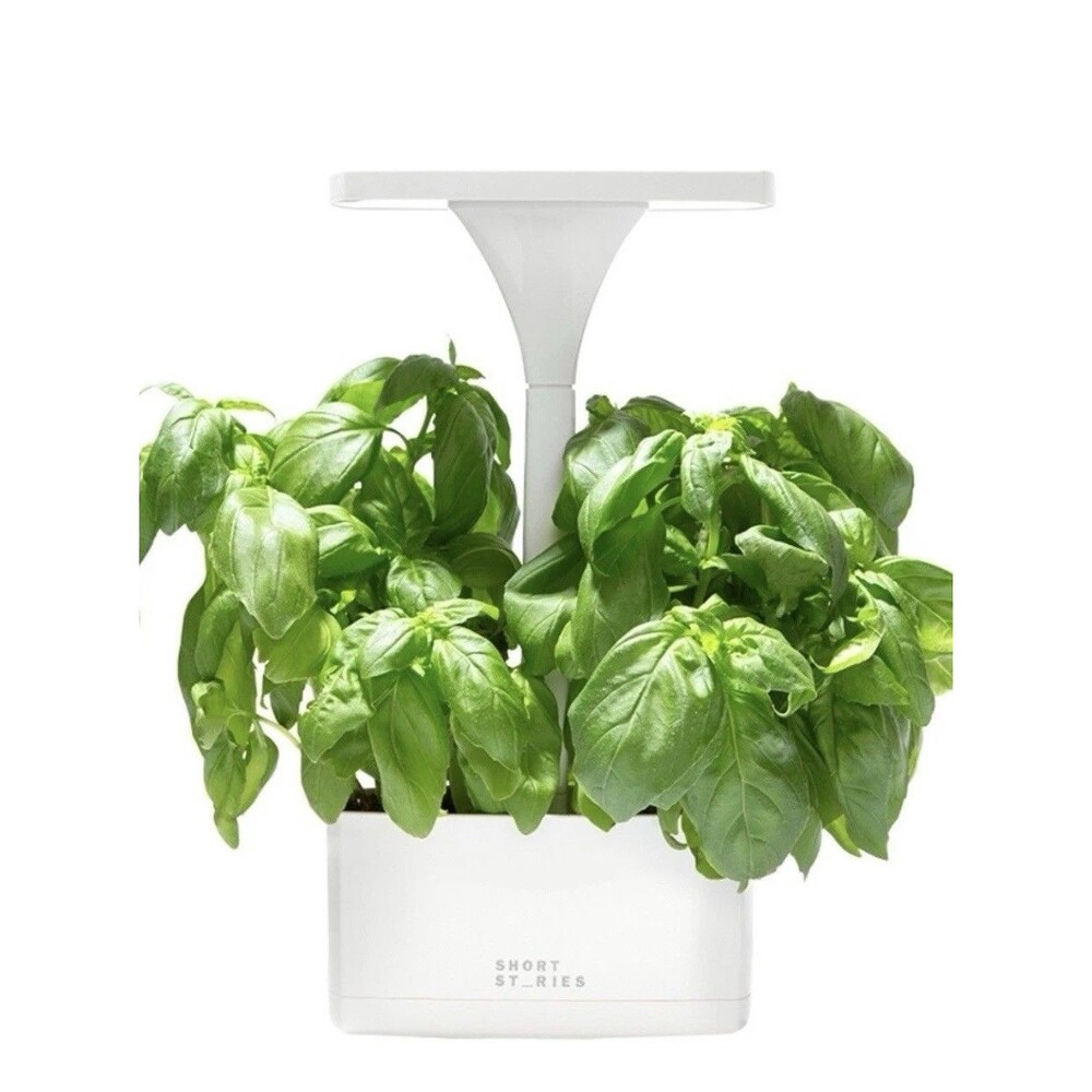 Plant Light Short Stories LED Indoor Planter Great For Growing Herbs